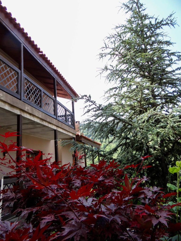 Guesthouse Vasiliki in Evia